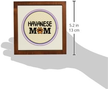 3dRose ph_151757_1 Havanese Dog Mom Doggie Mama by Breed Paw Print Mum Love Doggy Lover Proud Pet Owner Circle Tile Pen Holder, 5-Inch