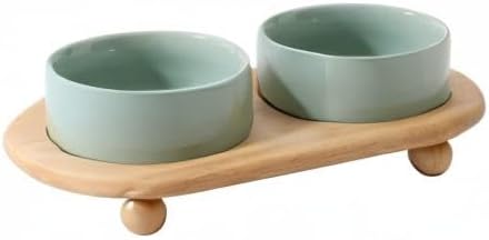 Havniva Ceramic Elevated Cat Food and Water Bowl, Kitty Bowl, Raised Cat Dish, Pet Feeder (5.1 in, 2 x Light Green + Stand)