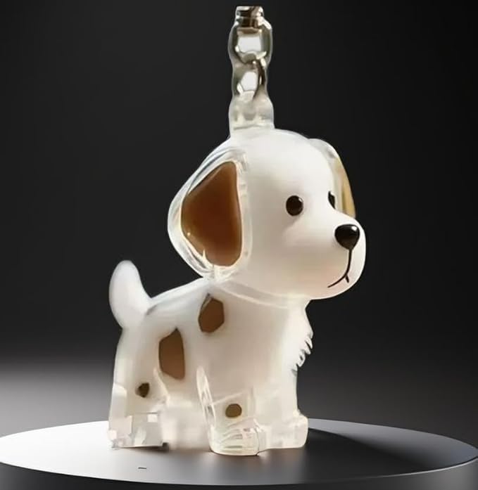 EPMANN Dog Hair Collector Keychain Charm Memorial Storage Box, Transparent Bottle for Pet Hairs Keychain, Pets Fur Keepsake Keyring for Collecting Hair, Portable Pet Memory Capsule(11)