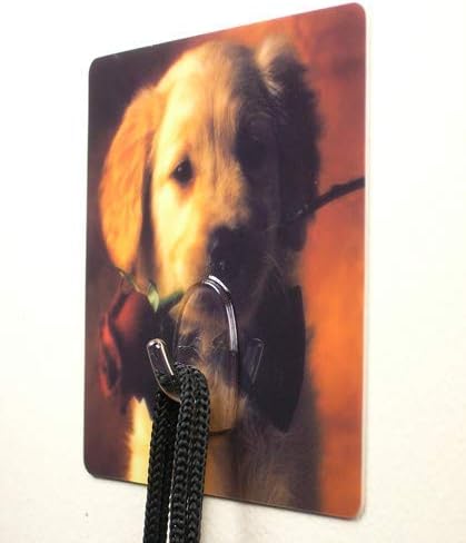 Puppy Decorative Wall Hooks, Pack of 12 Reusable Heavy Duty Hooks for Dog Leash, Collar, Keys, Hats & Towels, Non-Adhesive Square Hooks Hold Up to 4 lbs Each, Durable Pet-Themed Home Organization