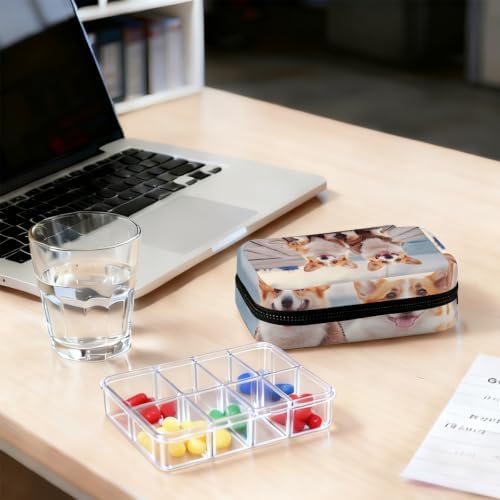Travel Pill Organizer Two Cute Corgi Dogs Beach Pet Small Pill Case