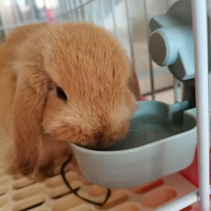 17oz Bunny Water Bottle No Drip for Cage, Hanging Automatic Water Dispenser for Small Animal Guinea Pig Hamster Chinchilla Ferret Rabbit