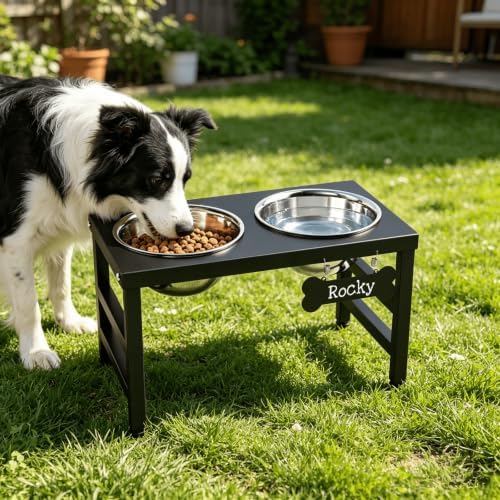 ADENGL 10" Elevated Dog Bowls – Metal Raised Dog Bowl Stand with 2 x 1700ml Stainless Steel Bowls, 1 Slow Feeder & Non-Slip Mat for Dogs
