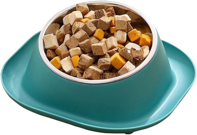 No Spill Cat Bowl Ant Proof Cat Dish for Kitten Pet Dog Small Animals Yellow S