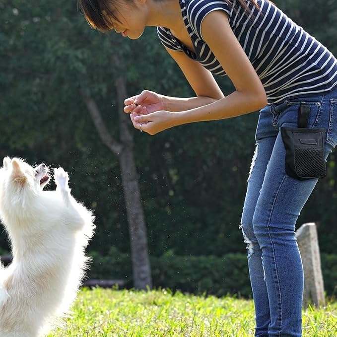 Dog Training Treat Pouch Small Portable Dog Treat Pouch Bag with Clip Pet Bait Snack Reward Puppy Training Container Food Treat Feeding Holder Mini Dog Treat Tote Waist Bag for Pet Training Walking