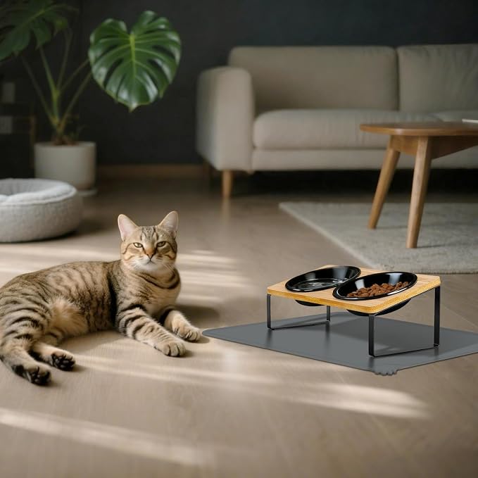 LEAWALK Upgraded Adjustable Height Cat Food Bowls Stand Ceramic Dog Bowls and Slow Feeder Cat Bowl, 15°Tilted Stand Anti Vomiting Raised for Small and Medium Sized Cats Dogs (Black)