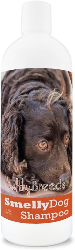 Healthy Breeds American Water Spaniel Smelly Dog Baking Soda Shampoo 8 oz