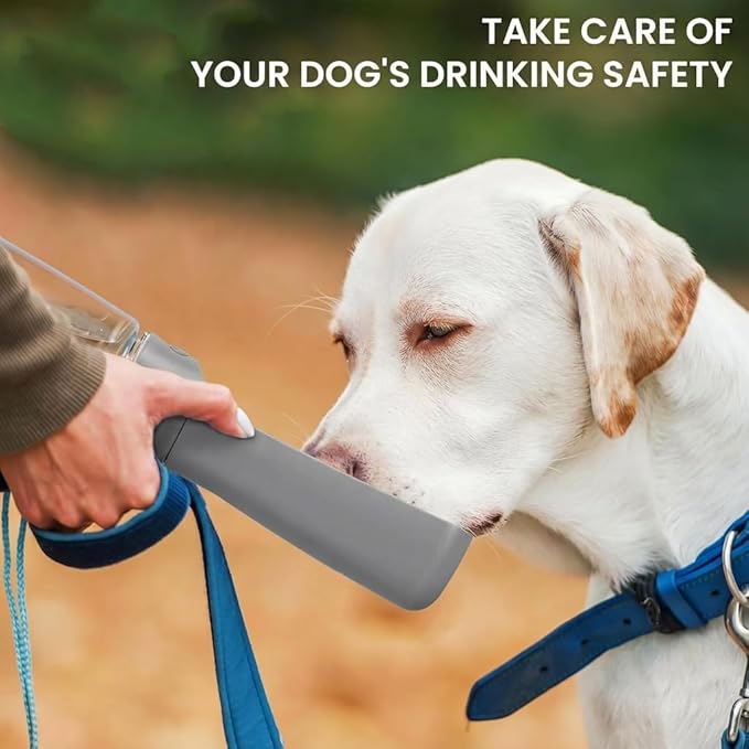 Portable Dog Water Bottle for Walking – 19oz / 12oz Foldable Pet Water Dispenser for Puppies, Medium & Large Dogs – Leak Proof Travel Water Bowl for Small Animals Dog Accessories(19OZ Grey)
