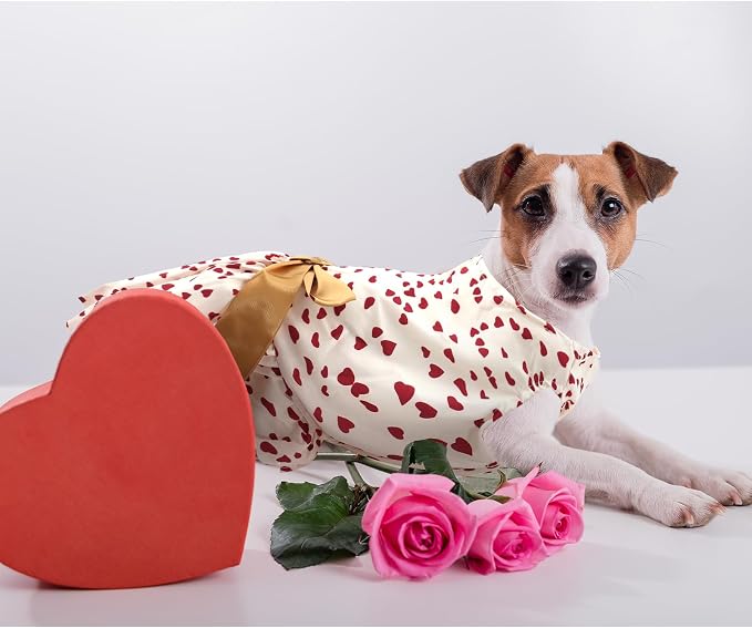 Dog Costume Dress M, Cream White with Red Heart Print Golden Bow, Glitter Heart Pet Outfit for 8-9 lbs Dogs and Cats, Romantic Holiday Clothing