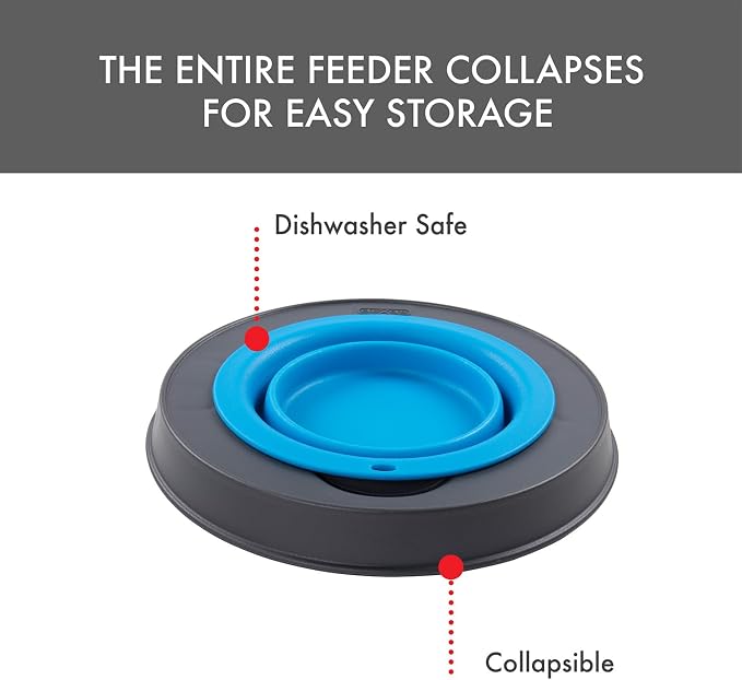 Dexas Pets Single Elevated Pet Feeder/Pet Bowl, I.5 Cup Capacity, Pro Blue, Small