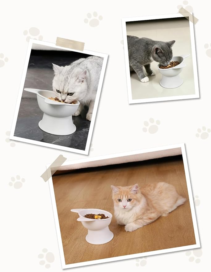 YINEYA Cat Bowls, Cat Food Bowl Elevated to Protect Neck & Anti-Vomit, Whisker-Friendly Raised Food & Water Bowls for Indoor Cats/Small Dogs, Cute Pet Feeding Bowl 6 OZ Each, Dishwasher Safe, White