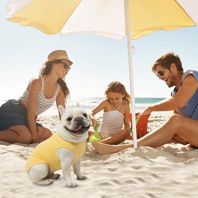 MIHACHI Dog Shirts Cotton Striped T-Shirt, Summer Pet Clothes for Small Dogs, 2-Pack Soft Puppy Apparel Cat Tee, Sleeveless Lightweight, Quick Dry, Breathable,Stretchy, Yellow M