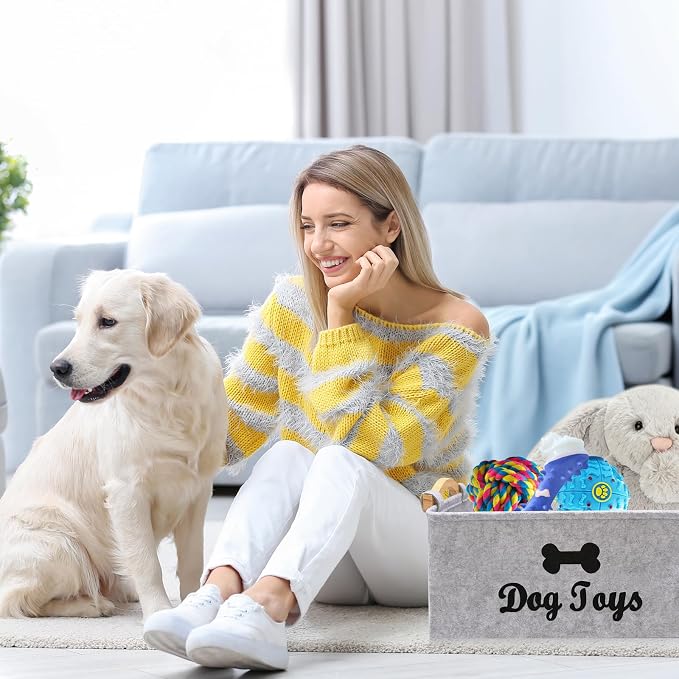 Puppy Toy Storage Box, Grey Puppy Toy Box Storage Basket, 15 x 11 x 7 inch Large Dog Toy Basket for Organizing Pet Toys, Blankets, Leashes