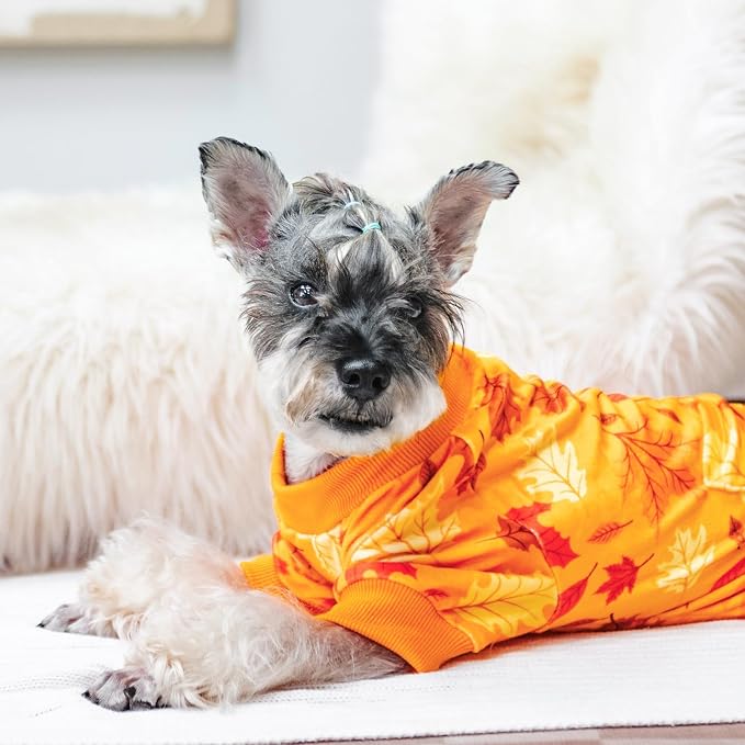 PUPTECK Soft Fleece Dog Pajamas for Small Medium Dogs, Dog Onesie Puppy Sweaters Clothes Jumpsuit Pjs, Cute Jammies Cat Coat Pet Costume Apparel
