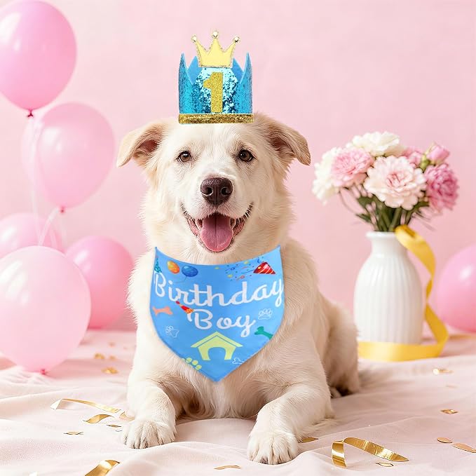 Rensh Dog Birthday Party Supplies, Dog Birthday Bandana Hat with Numbers for X-Large Large Small Pets, Multi Size Birthday Decorations for Dogs and Cats (Blue, Small)