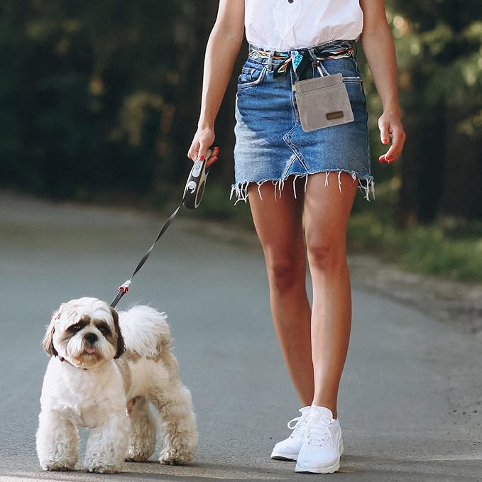 Dog Treat Pouch, Portable Auto Closing Dog Training Treat Bag with Carabiner, Hands Free Pocket Sized Snack Reward Pouch for Puppy Walking Travel Outdoor Use, Gray