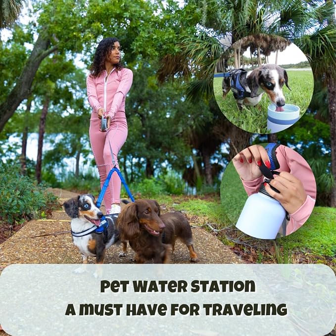 OhmyPet Pet Water Bottle Station with 3 Bowls and 32oz Bottle, Pink or Blue, for Dogs