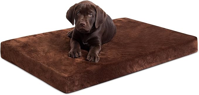 BIRDROCK HOME Memory 3" Memory Dog Bed | Ultra Soft Plush Pet Bed | Pet Mat (34 x 22, Brown)