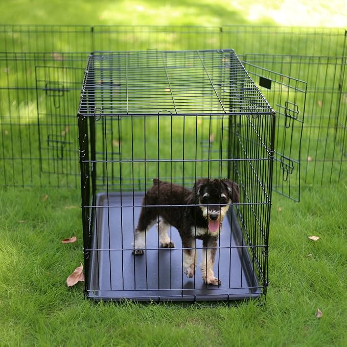 Peekaboo Dog Playpen 24 Inch, 8 Panel Foldable Rustproof Pet Fence, Black | Sturdy Metal Pet Fence,Quick Folding Setup,Indoor and Outdoor Use,Climate Pledge Friendly Choice