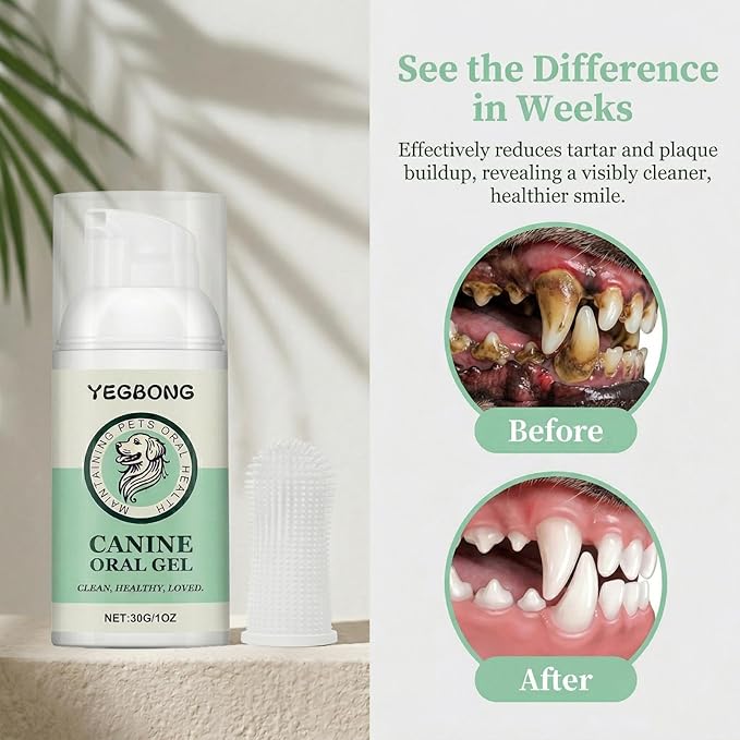 Dog Toothpaste and Toothbrush Kit, Dog Dental Gel for Plaque and Tartar Removal, Dog Teeth Cleaning for Fresh Breath and Daily Oral Support, Suitable for Dogs of All Ages(1 OZ)