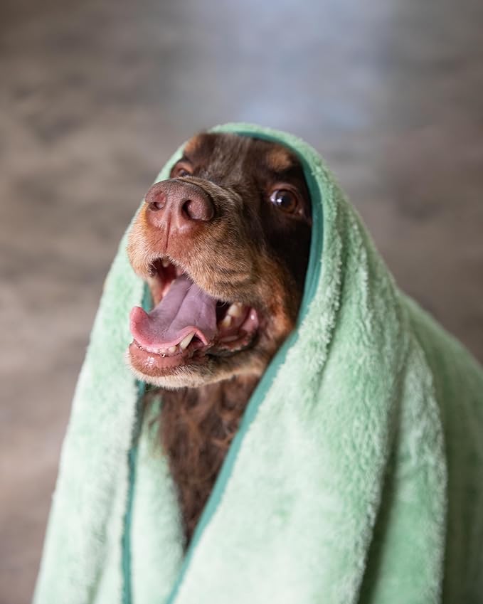 Two Tails Pet Company Pet N’ Dry Microfiber Bath Towel, Absorbent Dog Towels for Versatile Everyday Drying or Washing, Soft and Lightweight, Fast Drying, Grooming Dog Supplies, Size Medium