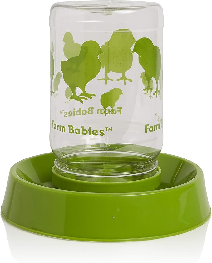 Lixit® Baby Chick Feeder or Waterer - Made in USA (Pack of 1)