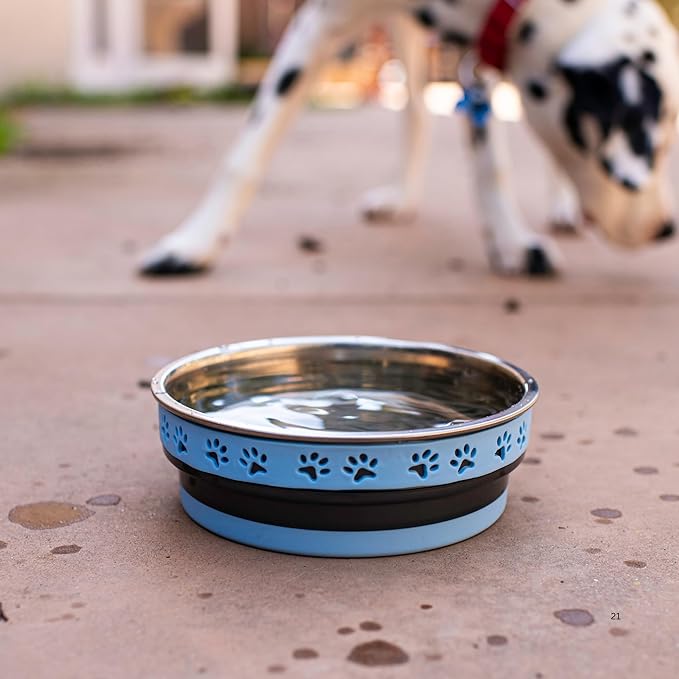 Loving Pets Corsa Dog Bowls- Stainless Steel Dog & Cat Bowls - Spill Proof Dog Food Bowl, Cat Bowl, Puppy Essentials & Pet Supplies Great for Home & Travel (Large 35-65 lbs, Rapid Blue)