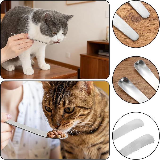 2 Pcs Dog Cat Spoon Pet Can Spoons Stainless Steel Can Scoop Portable Pet Feeding Spoon Long Handle Food Scoop Wet Food Storage Feeder for Wet Foods and Cans