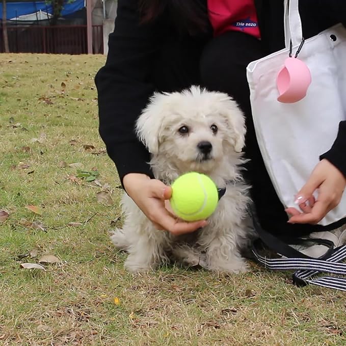 Portable Pet Ball Sleeve Storage Box, Dog Toy Ball Rack, with Dog Leash Attachment, Standard Tennis Balls Size, and Stain-Resistant