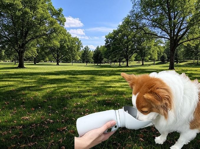 Collapsible Portable Dog Water Bottle & Bowl – Leak-Proof Pet Water Bottle for Dogs, Travel & Walking Accessory