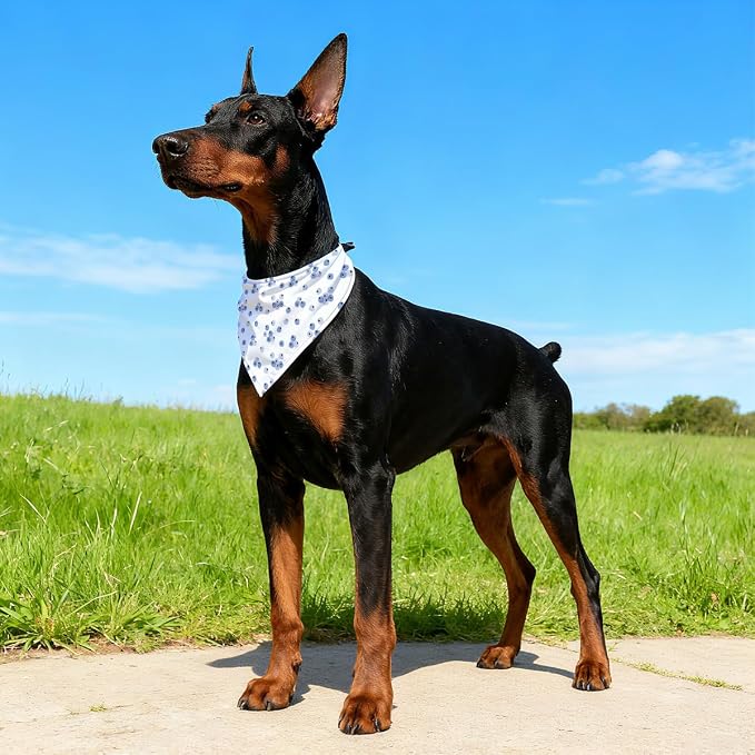 Blueberry Dog Bandana, Fruit Pattern Pet Triangle Scarf for Small Medium Dogs, Cute Puppy Bandana for Daily Wear Walks Picnic Birthday Party Family Photos