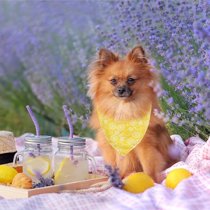 Whaline Yellow Lemon Dog Bandana Spring Summer Reversible Triangle Dog Scarf Adjustable Fruit Washable Pet Bibs Pet Neckerchief for Medium Large Cat Dogs Costume Accessories, 2 Pack
