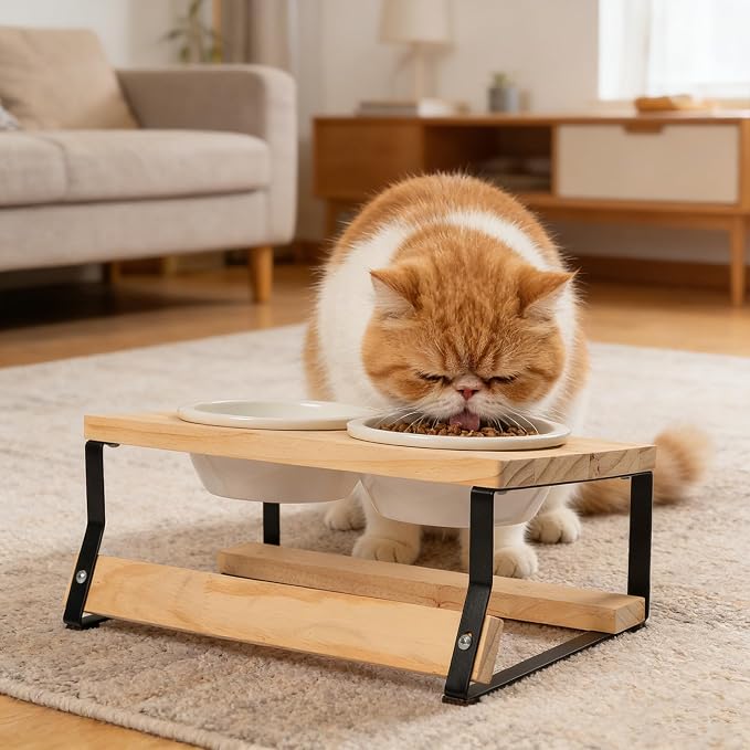 getlstub Elevated Cat Bowls with Wood Stand - Raised Cat Food and Water Bowls for Indoor Cats & Small Dogs, 15°Tilted High Ceramic Anti-Vomit Pet Feeder, Whisker Fatigue Friendly