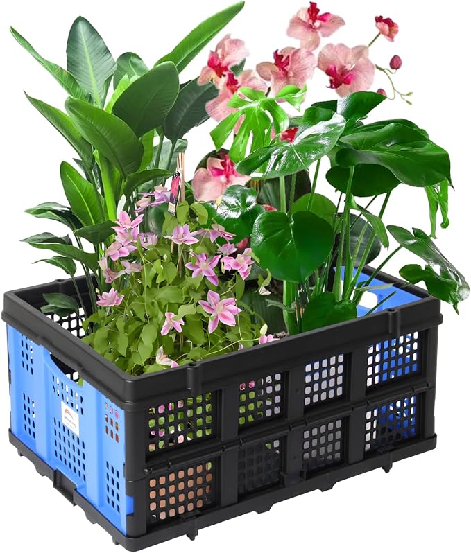 LEADALLWAY 50L Collapsible Plastic Storage Basket Specially Designed Brand Assembly Feasible Multiple Carts and Shopping Cart Foldable Storage Bin Organizer 110LBS,1Pack | Specially Designed Brand Assembly Feasible Multiple Carts and Shopping Cart Fold...