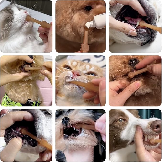 Dog & Cat Toothbrush Kit with Storage Cup, 360° Silicone Mini Head Tongue Cleaning Brush, Pet Dental Care for Doggie Kitten Ferret Dutch Pigs
