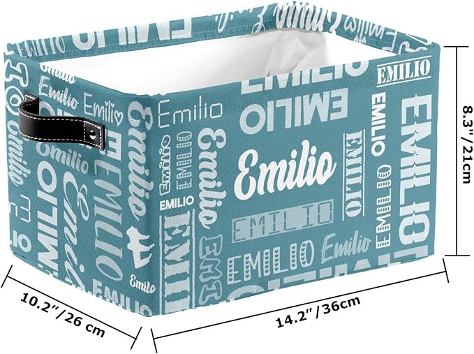 Personalized Toy Box Storage Bins for Boys Girls with Name, Kids Custom Storage Basket Cubes Organizer with Handles, Shelf Closet Storage Baskets Bin Customized Gift, 1 Pack