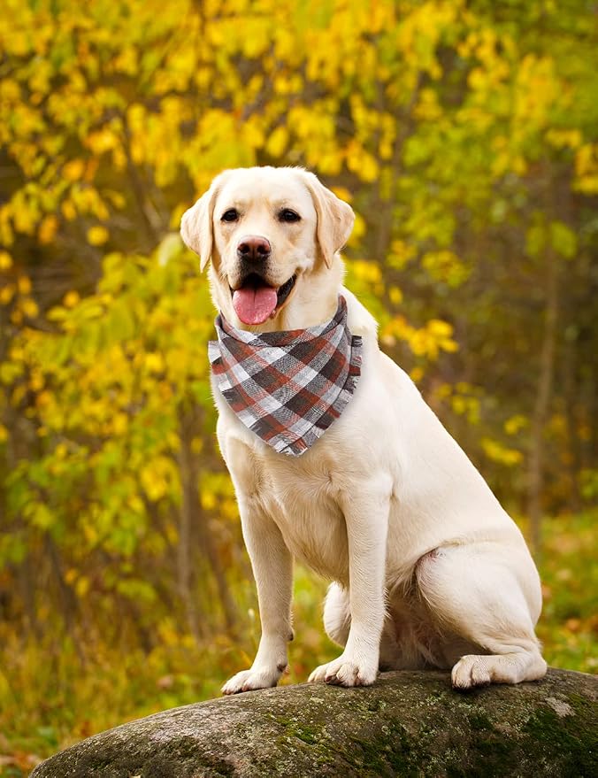 Fall Dog Bandana Autumn Thanksgiving Plaid Reversible Triangle Bibs Scarf Accessories for Dogs Pets