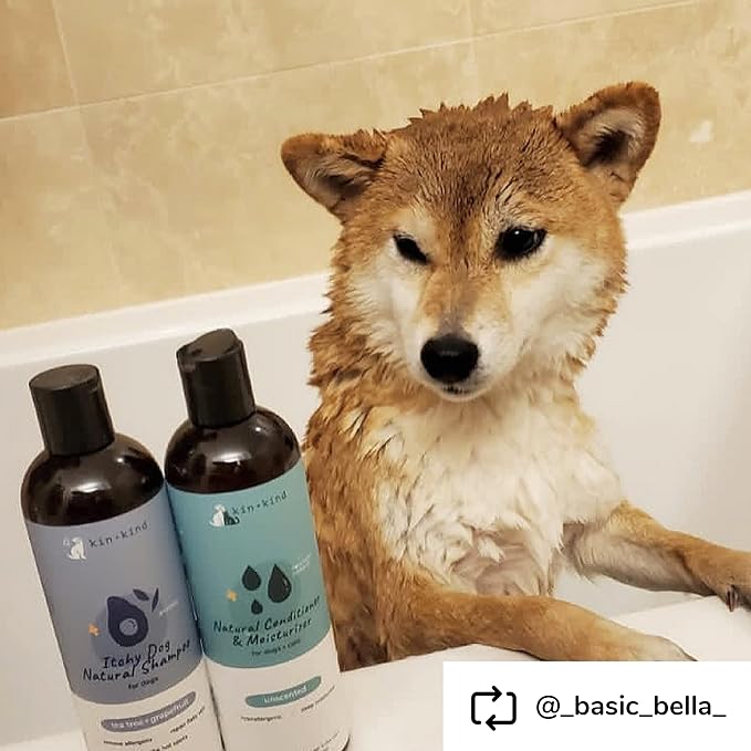 kin+kind Itchy Dog Natural Dog Shampoo - Gentle Clean for Itchy Skin - Avocado Oil - Tea Tree & Grapefruit Fragrance - 12 fl oz