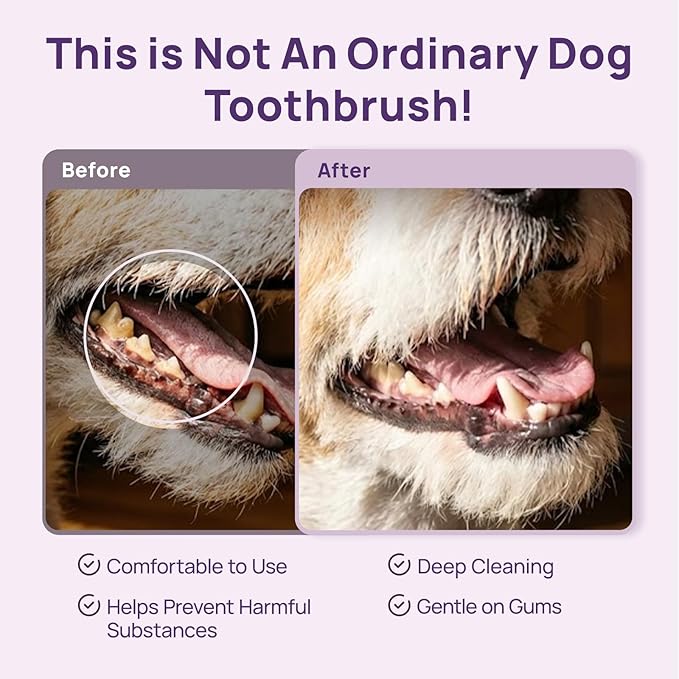 HICC PET Toothbrush for Dogs & Large Cats, Vet-Recommended Ergonomic Pet Toothbrush for Easy Teeth Cleaning, Gentle on Gums, Cat & Dog Dental Care, Improves Oral Hygiene. Toothpaste Not Included