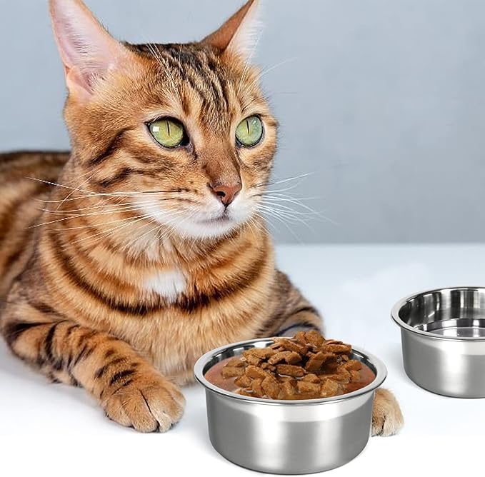 Kennel Water Bowl, 2 Packs No Spill Hanging Cage Crate Bowl for Cat, Small Dog Feeder -2 Cups / 1 Pint