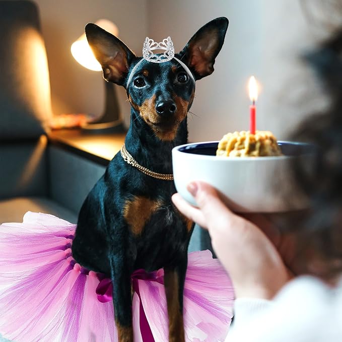 2 Pcs Dog Crown Headband Dog Tutu Dress Set Crystal Rhinestone Tiara Crown Tutu Skirt Pet Dress Costume for Puppy Birthday Party Wedding Photo Prop Costume(Medium,Pink Purple)