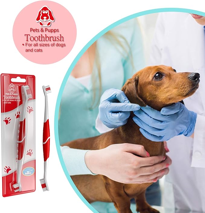 Pet Toothbrush for Dogs, Cats with Soft Bristles - Easy Teeth Cleaning & Dental Care, Non Slip Dual Head Dog Toothbrush for Medium & Large Pets, Toothpaste Not Included (Pack of 1 (Pink))