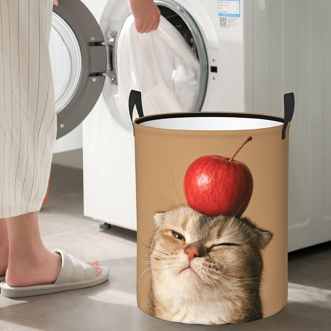 Funny Pet Cat And Fresh Apples Art Laundry Hamper 15.7×19.6 Inches | Clothes Basket With Handles, Versatile Storage Organizer For Home Decor, Laundry Room, Dorm, Bathroom, Living Room, Gifts