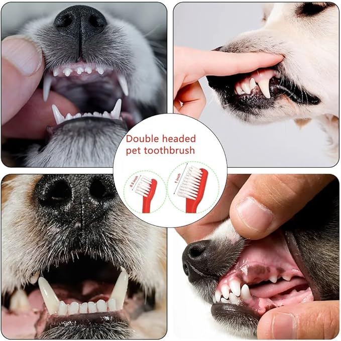 Dog Toothbrush Set of 8 – Dual Headed Dental Hygiene Brushes for Small to Large Dogs, Easy Teeth Cleaning & Dental Care,Dog Tooth Brushes for Small to Large Dogs, Cats, and Most Pets