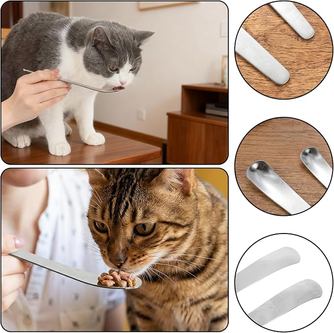 2 Pcs Dog Cat Spoon SPet Can Spoon Stainless steel Can Scoop Portable Pet Feeding Long Handle Food Scoop Wet Food Storage Feeder