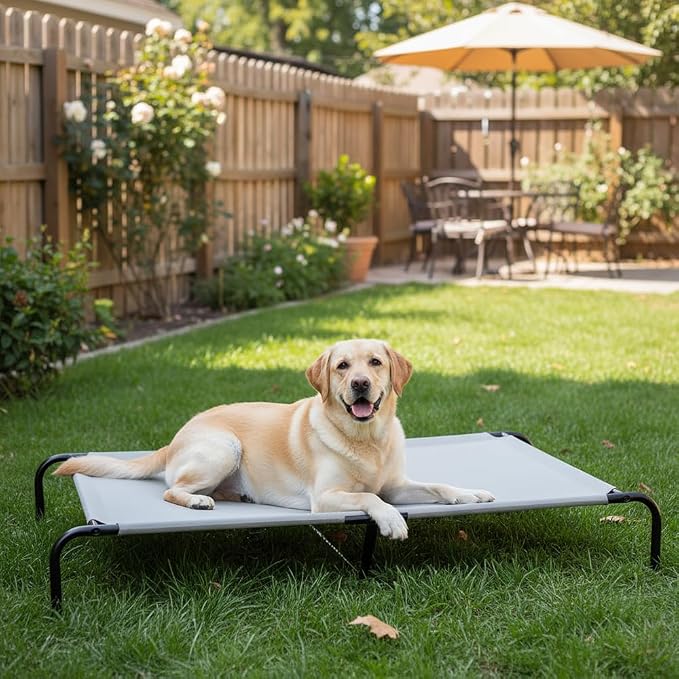 Amazon Basics Cooling Breathable Elevated Pet Bed with Metal Frame for Large Dogs, X-Large (60.1 x 37.1 x 8.9 Inches), Grey, 1 Count