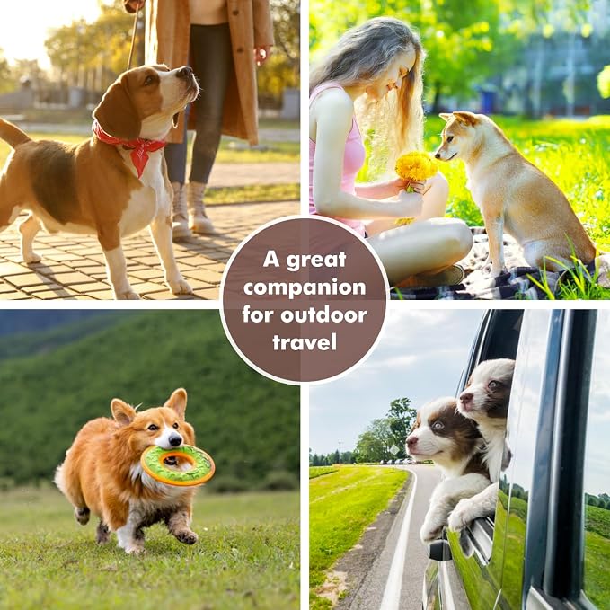 Collapsible Dog Bowls, Travel Food and Water Double Bowl for Cats & Dogs, 2-in-1 Portable BPA-Free Feeding Solution, Perfect for Traveling, Camping & Walking (S/ 60oz)
