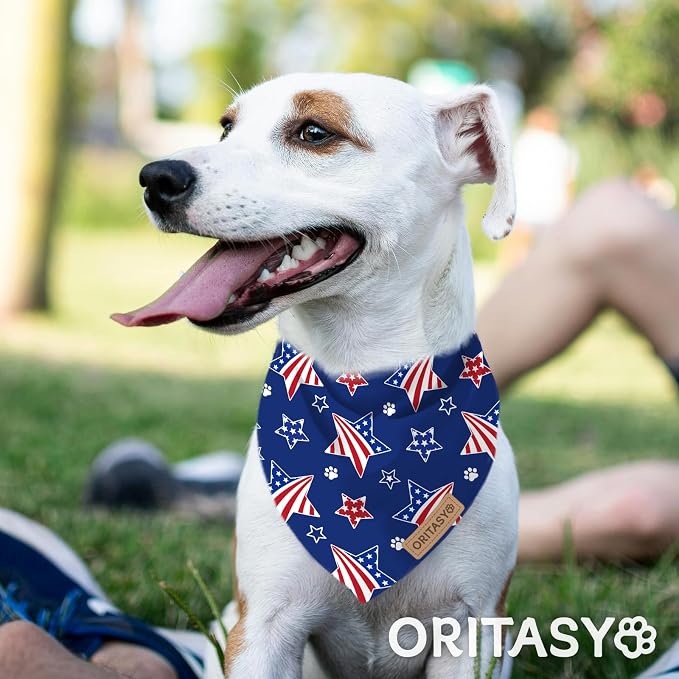 US Flag Dog Bandanas, 2-Pack Triangle Reversible Pet Scarves, Premium Fabric, 4th of July Bandana for All Boys Girls Dogs (Large, 26-Style 1)