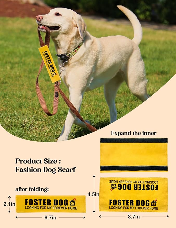 Foster Dog Leash Sleeve - Funny Yellow Alert Wrap with Hanging ID Patch | Looking for My Forever Home Pet Leash Accessory, Gift for Dog Owners