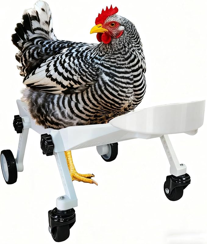 Adjustable Small Scale Pet Chicken Wheelchair,Small Pet Mobility Aid Cart | mall Pet Poultry Mobility Aid Cart, Adjustable Size for Comfortable Use, Supports Injured/Disabled Poultry to Move Freely
